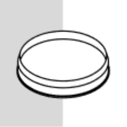 Base Plug